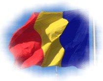 Instituţiile publice au termen o …