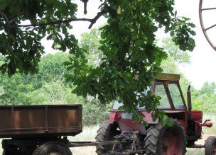 Accident de circulaţie produs de …