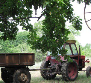 Accident de circulaţie produs de un tractorist beat