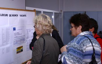 AJOFM Botoşani: 85 de locuri …