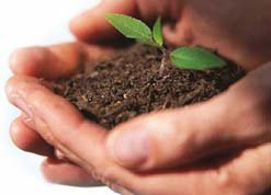 Primăriile din judeţ nu au …