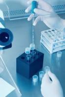 NOU: A fost desoperit un …