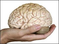 Amiba care se hrăneşte cu …