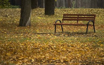 Vom avea o toamnă caldă