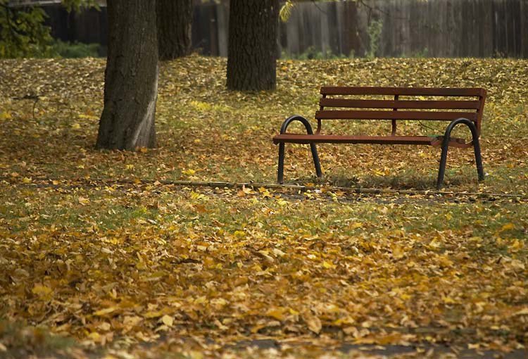 Vom avea o toamnă caldă