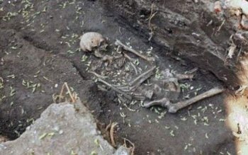 Descoperire istorică la Suceava: Au …