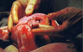 Cea mai importantă fotografie din …