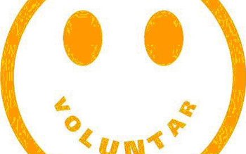 Anul European al Voluntariatului