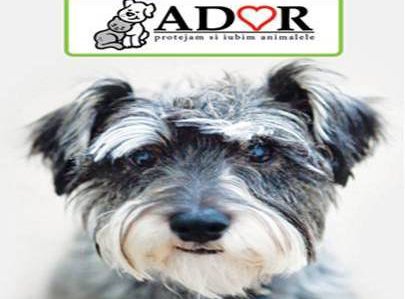 Ador…