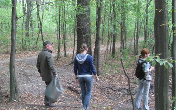 Let’s Do It, Romania: Peste …