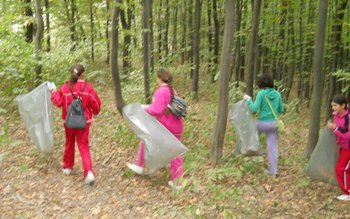 Şcoala Cristineşti: Elevii implicați în …