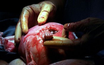 Fotografia care a emoționat întreaga …