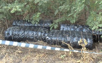 Patru cetățeni români reţinuţi pentru …