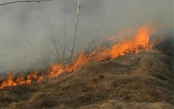 Păşune incendiată la Gorbănești