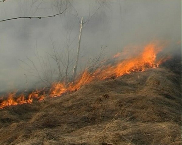 Păşune incendiată la Gorbănești