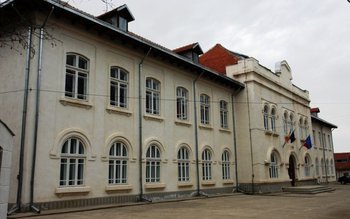 Elevii Grupului Școlar ”Al. Vlahuță” …