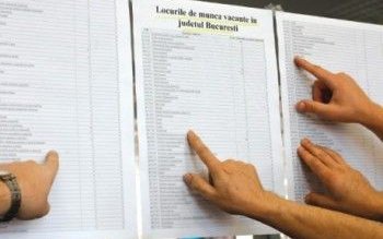 AJOFM Botoşani: Noi locuri de …