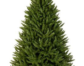 Brazi montaţi în sensurile giratorii …