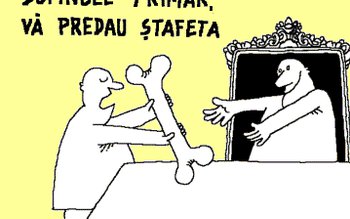 Primarii vor conduce ședințele consiliului …