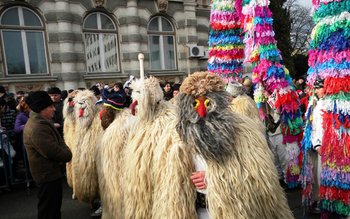 Botoșaniul prezent la a V-a …