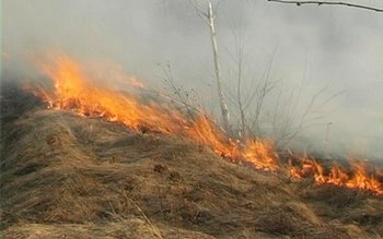 ISU Botoșani: Focuri scăpate de …