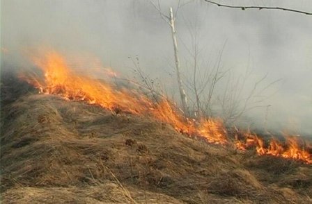 ISU Botoșani: Focuri scăpate de sub control