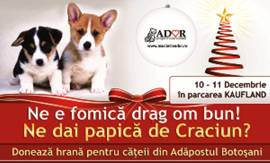 Ne e fomica, drag om bun! Ne dai papica de Craciun?   