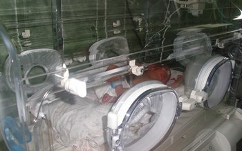 O adolescentă de 15 ani …