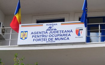 Situația statistică a persoanelor aflate …