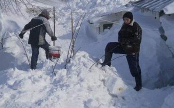 Organizaţia Judeţeană PSD Botoşani vine …