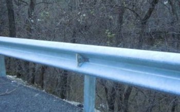 Hotii de fier nu au …