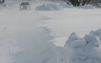 Viscolul puternic a făcut ravagii …