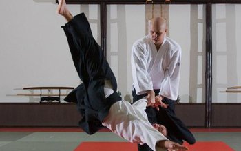 Botoşani: Seminarul naţional Aikido la …