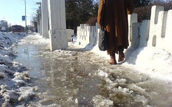 Primarii din judeţul Botoşani obligaţi …