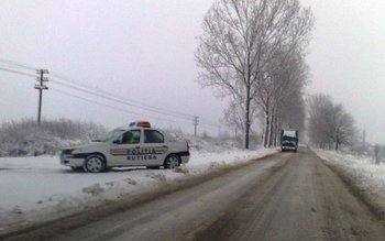 Dorohoieni suspectaţi că au ţepuit …