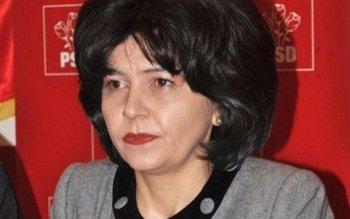 Doina Elena Federovici: „Guvernul asistă …
