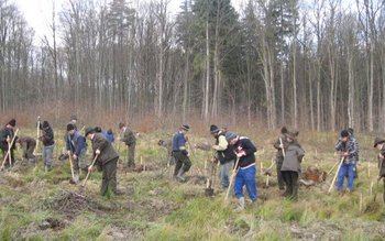 Direcţia Silvică îşi propune împădurirea …