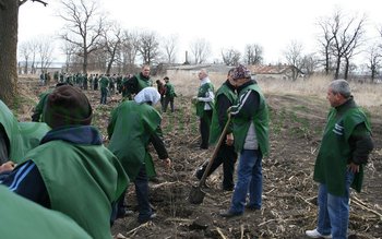 „Luna pădurii” a coincis cu …