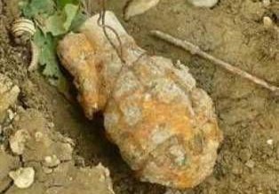 Grenadă găsită într-o grădină din …