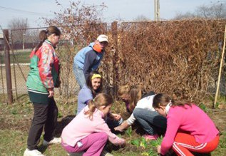 Activităţi desfăşurate în săptămâna “Şcoala …