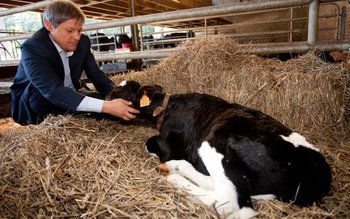 Subvenția pentru fermierii botoșăneni deblocată …