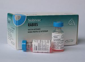 Spitalul Judeţean Botoșani: Criză de …