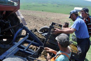 Fabrică de peleţi şi brichete …