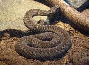 Un tânăr a ajuns la …