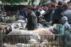 Aproximativ 10000 de oameni prezenţi …