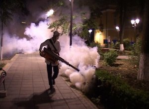 Angajaţii Primăriei Botoşani au început …