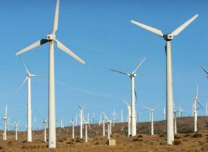 Investiţie de jumătate de miliard …