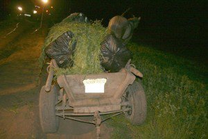 Mii de ţigări de contrabandă …