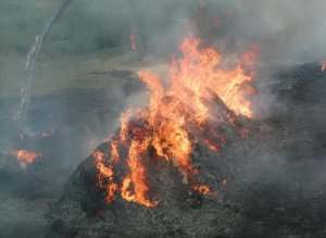 20 de tone de furaje …