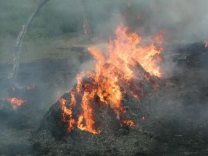 20 de tone de furaje distruse într-un incendiu la Vlăsineşti